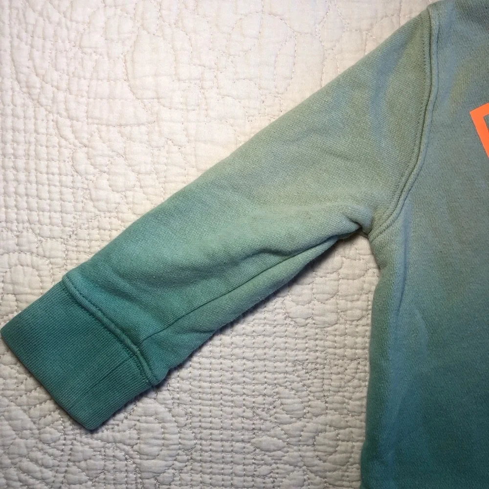 GAP Toddler Green Ombre Dinosaur “Reach for the sky” Sweatshirt Size 18 months